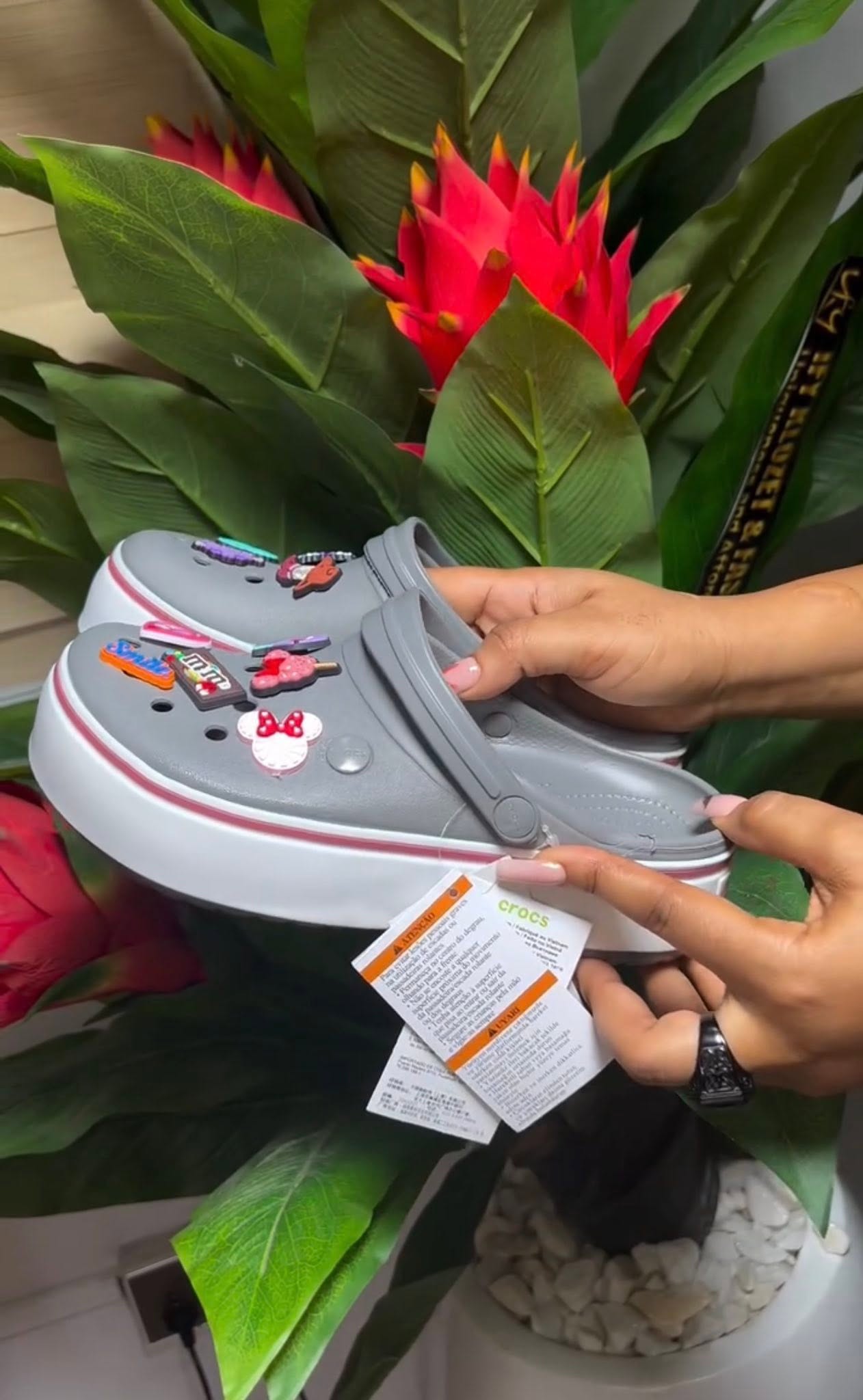 Crocs Domptage
