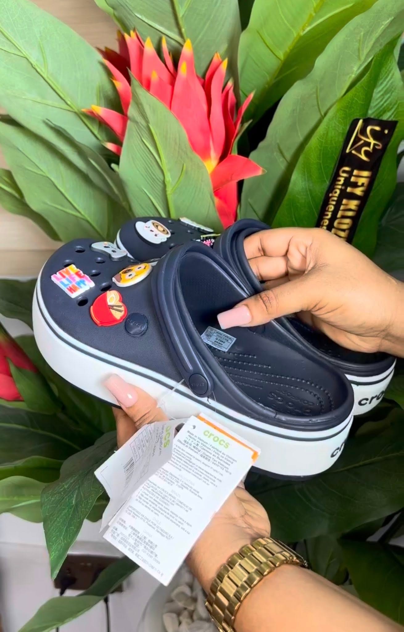 Crocs Domptage