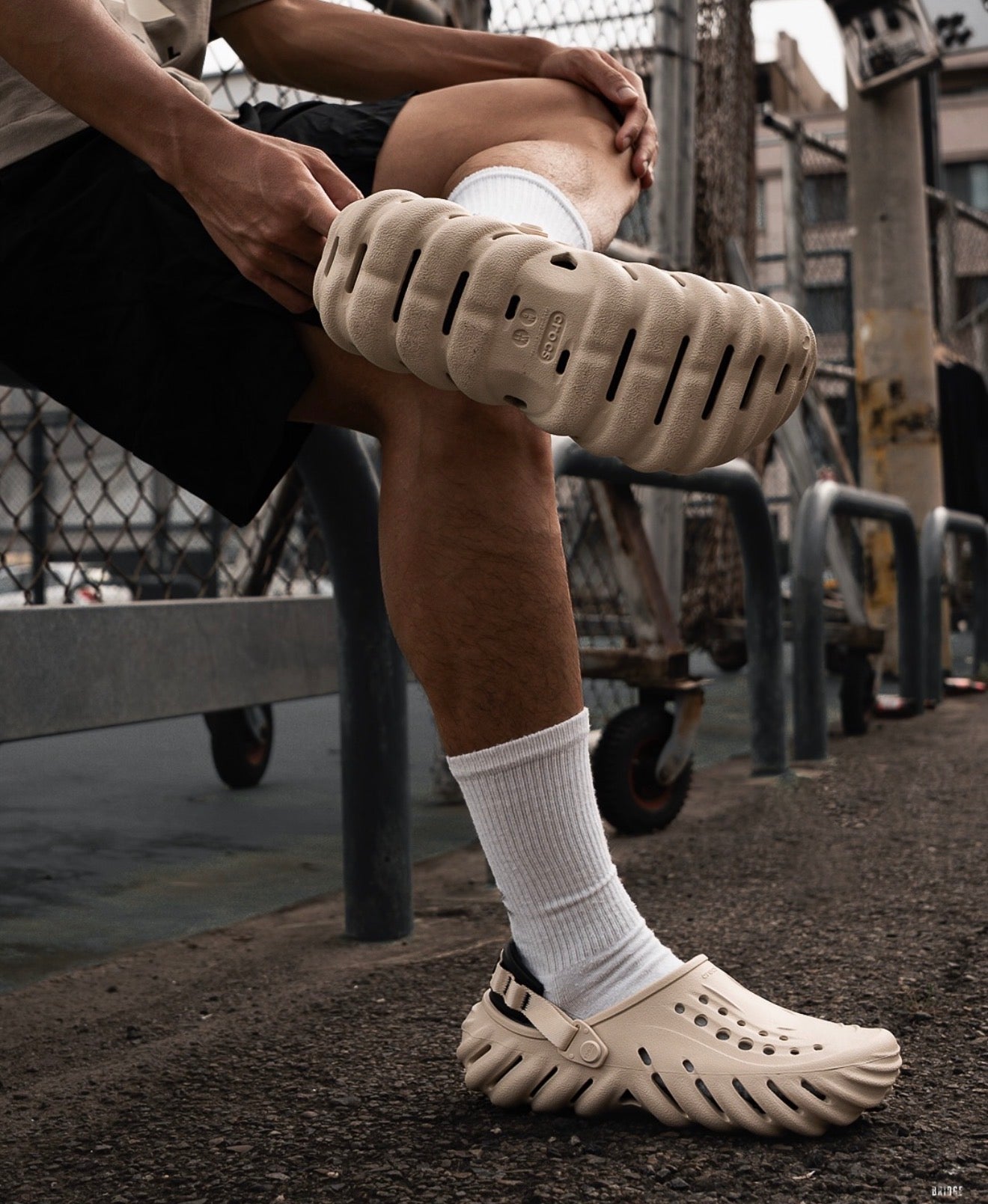 Crocs echo