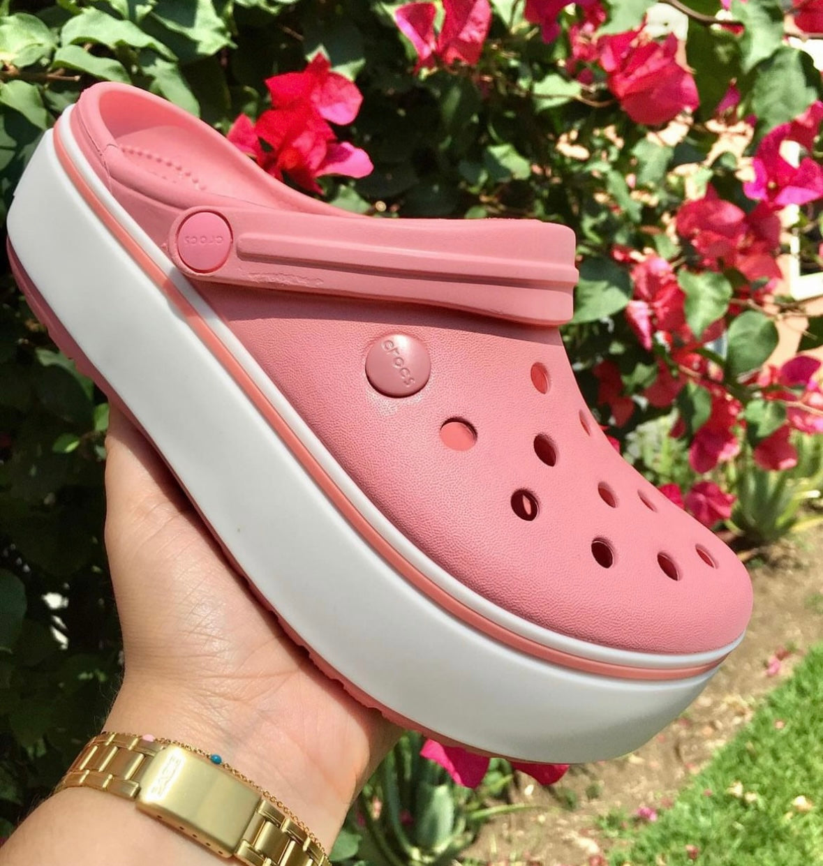 Crocs domptage rose