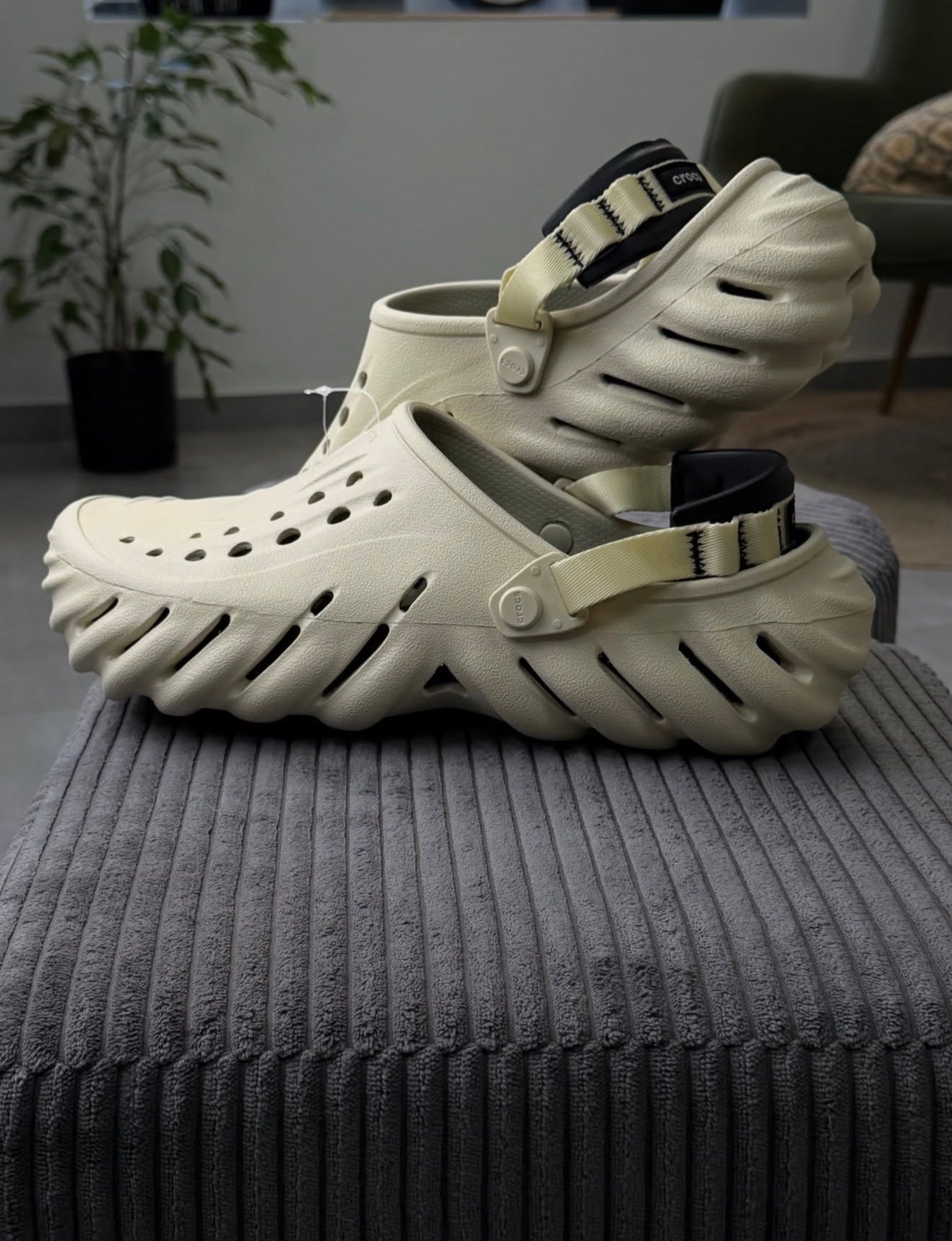 Crocs echo